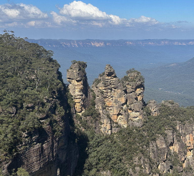 Blue Mountains Adventure: Scenic World, Zoo & Koala Photo