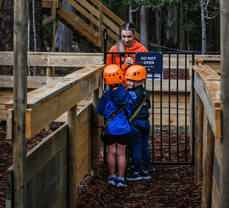 TreeClimb Kuitpo Forest: Treetop Fun For Little Adventurers