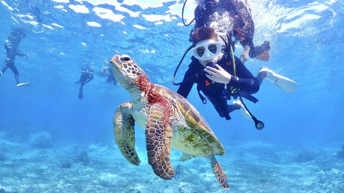 Okinawa Chako Travel