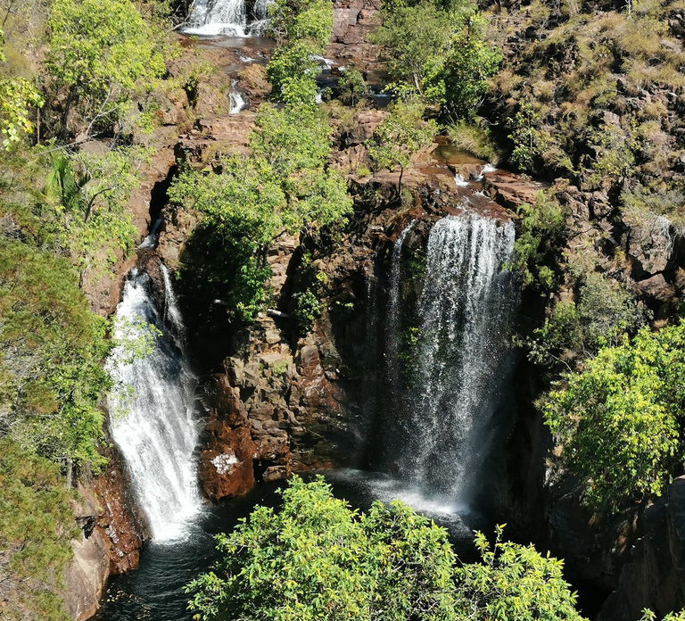 From Darwin: Litchfield National Park Small-Group Day Trip