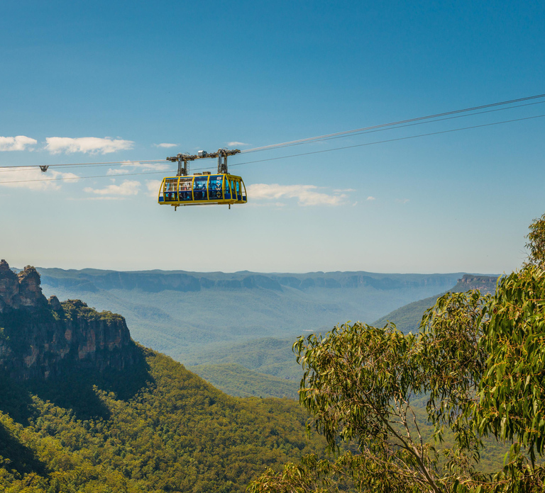 Blue Mountains Adventure: Scenic World, Zoo & Koala Photo