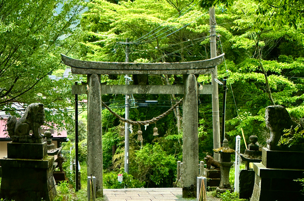 One-day tour of Kamishimi Kumanozha Shrine, Aso no Motogo, Kukino, and Kurokawa Onsen | Kumamoto