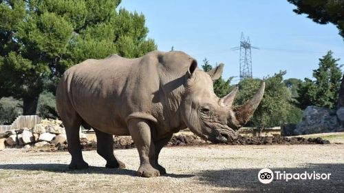 Zoo De La Barben