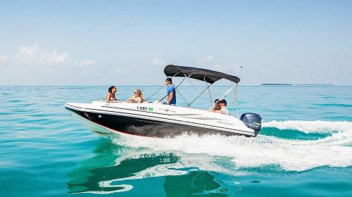 Snorkel & Millionaire Row - Private Miami Boat Tour w/ Drinks