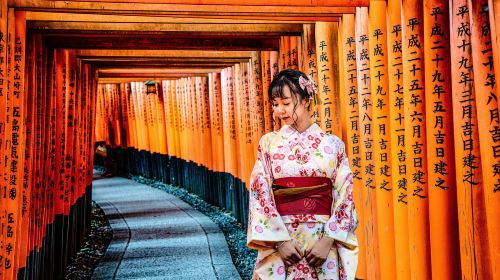 Kinkaku-ji + Arashiyama + Nijō Castle + Fushimi Inari Taisha Kyoto in-depth niche one-day tour Day Tours