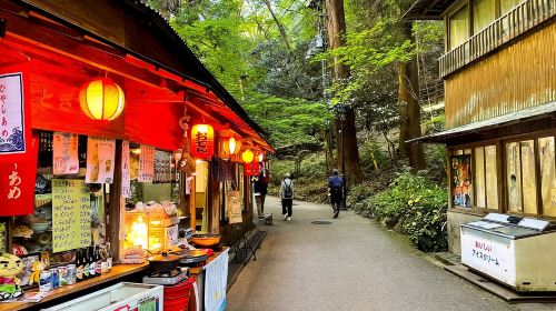 Osaka: Minoh, Katsuoji Temple, & Minoh Falls Full-day Tour Day Tours