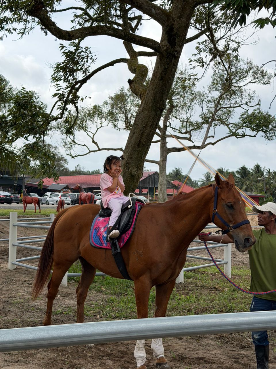 Desaru Fruit Farm Horse Riding Experience