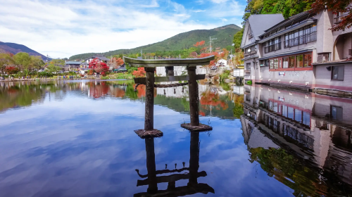 1-day tour to Kyushu Wildlife Park African Safari – Beppu Umi Jigoku