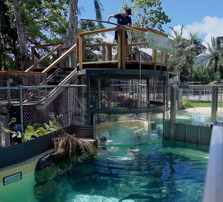 Port Douglas: Wildlife Habitat Swim with Crocodiles