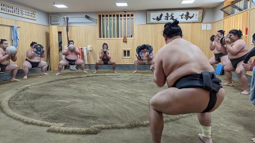 Find Your Favorite Wrestler at Morning Sumo Practice Day Tours