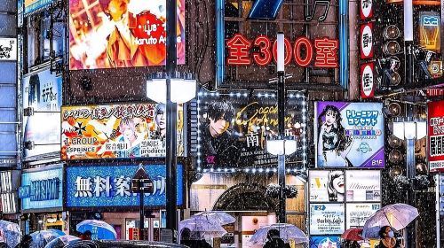Tokyo Private Tour English Driver