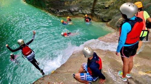 1-day tour to Oslob whale sharks + Kawasan Falls canyoneering in Cebu, Philippines
