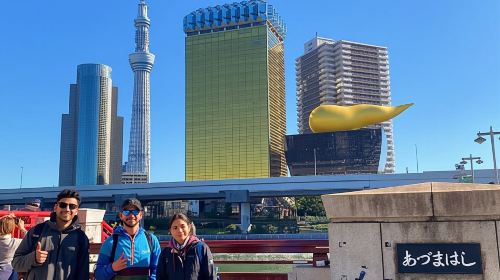 Tokyo: 3-Hour E-Bike Tour of the City's Riverside Areas Day Tours