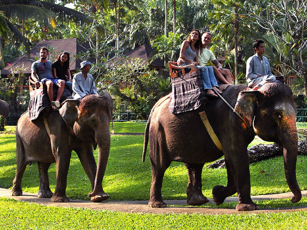 Safari Ride Tour