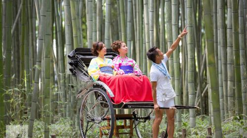 Kyoto Arashiyama Rickshaw Private Chartered Tour by Ebisuya