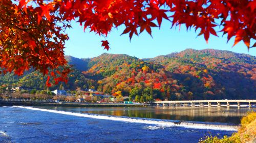 Osaka Round-Trip | 1-Day Tour to Arashiyama Bamboo Grove, Fushimi Inari Taisha, and Nara Park Day Tours