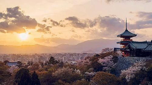 A day trip to Kyoto's ancient architecture, Nara Park with adorable deer, and Fushimi Inari Shrine