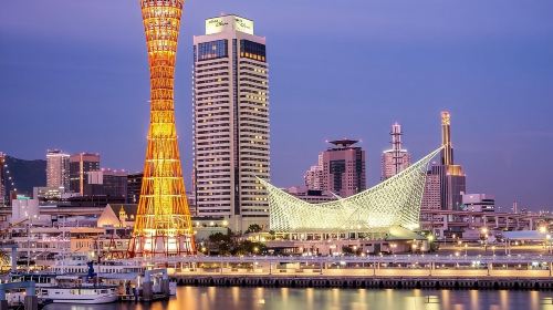 Kobe 4hr Private Tour with Government-Licensed Guide
