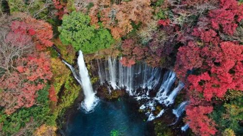 Nagoya Round Trip – Shizuoka Day Tour – Sengen Taisha, Shiraito Falls