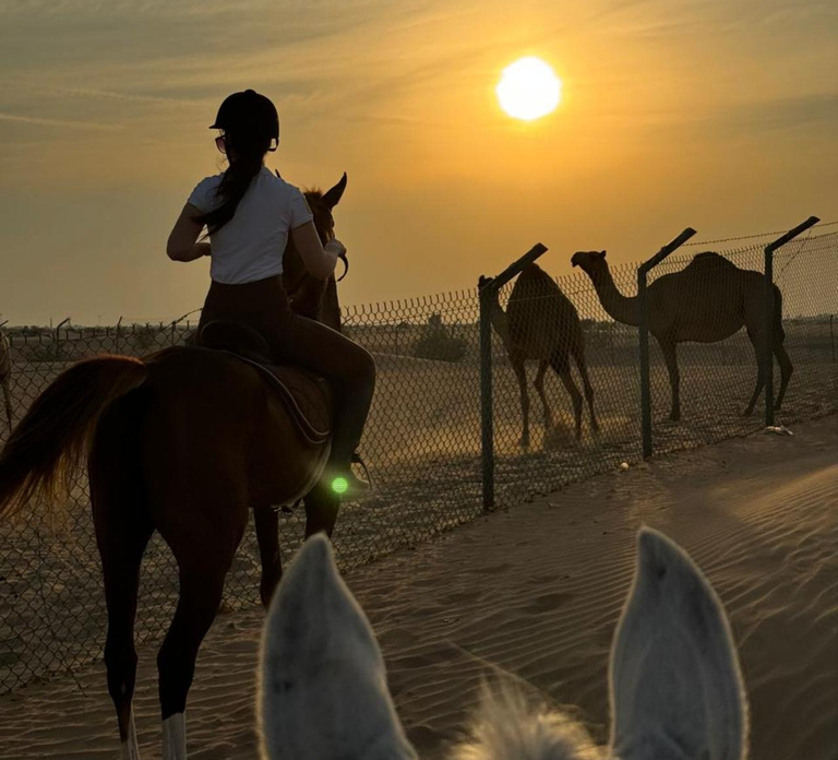 Dubai: Horse Riding Experience with Ride-Thru Açaí Stop