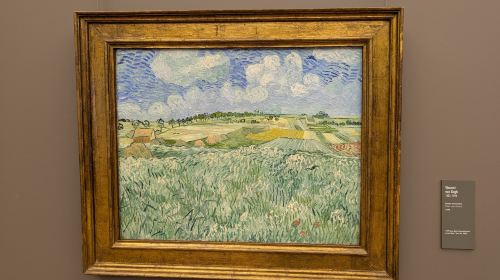 Alte Pinakothek