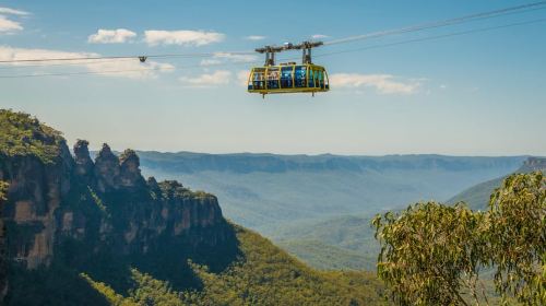 Blue Mountains Tour w/Lunch: Scenic World, Zoo & Koala Photo Day Tours