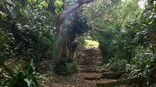Iriomote Culture Discovery. Indigenous culture on Iriomote Island Day Tours