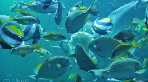 Penghu Aquarium