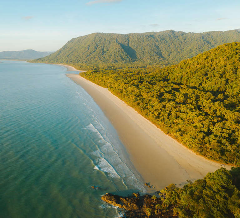 Cairns: Cape Tribulation, Mossman Gorge & Daintree Day Tour