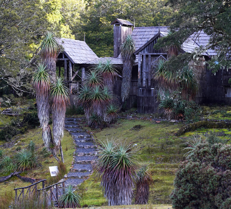 Cradle Mountain: Day Trip from Launceston with Lunch