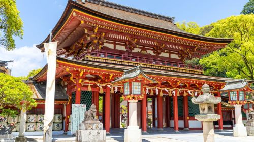 YokaBus Fukuoka Cruise Shore Excursion Dazaifu Half Day Tour Day Tours