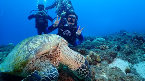 Pingtung Liuqiu Island diving Experience Scuba diving 2 hours – Xiaoliuqiu One-to-one No License diving Experience