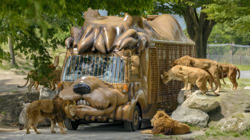 Beppu Kinrin Lake Autumn Viewing + Hells of Beppu + Kyushu Wildlife Park African Safari 1-day Tour
