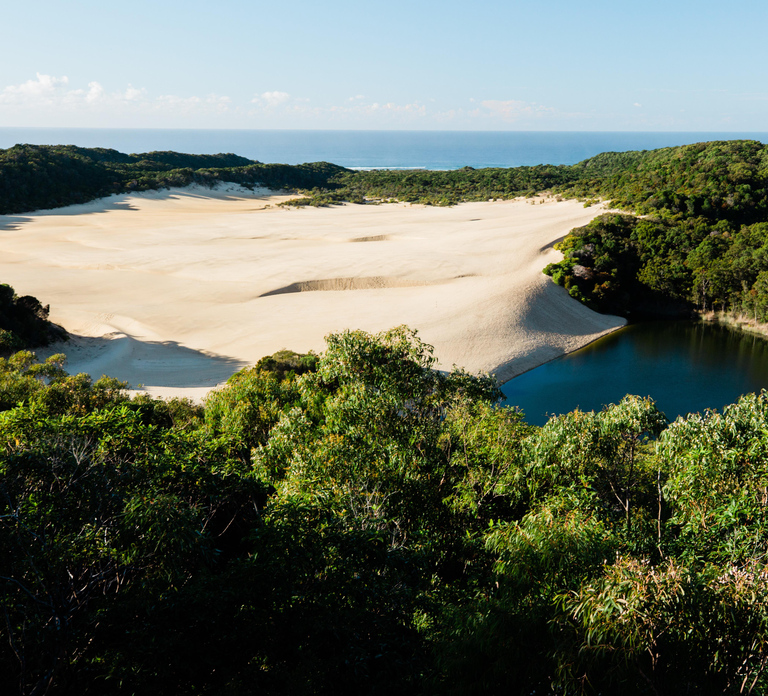 From Rainbow Beach: K'gari, Fraser Island Two-Day Coach Tour