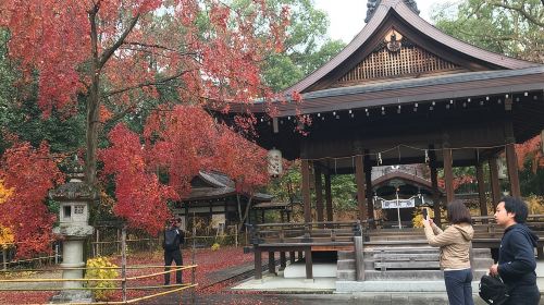 Cycle Kyoto's Hidden Gems & Gion Stroll Day Tours