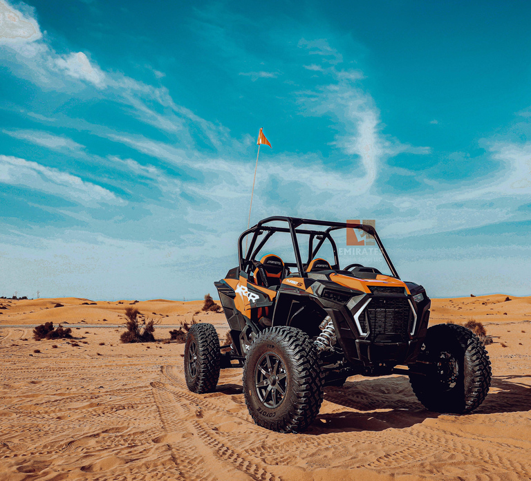 Abu Dhabi: Morning Dune Buggy Adventure