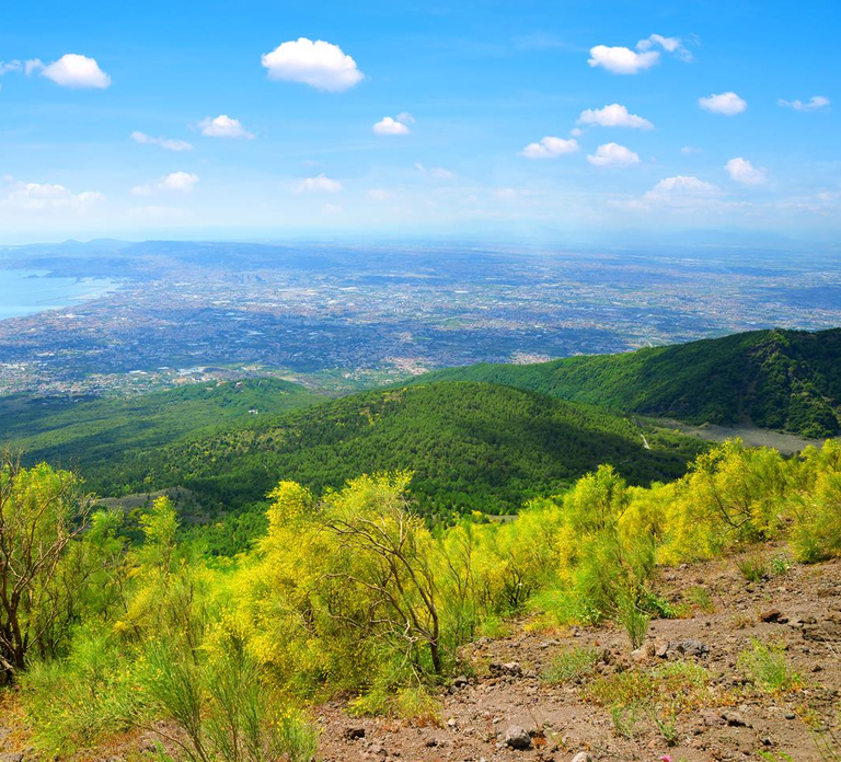 Bus Transfer to Vesuvius with Park Entry Fee