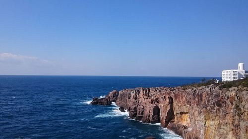 1-day tour to Kishi Station Cat Master + Seafood Market + Senjojiki Rock Plateau + Sandanbeki Cliffs in Wakayama, Japan