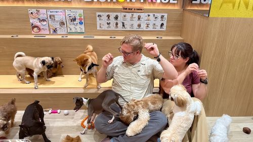 Explore Akihabara The Ultimate Anime & Food Tour Free For Kids Day Tours
