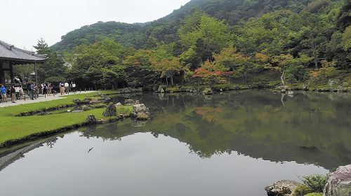 Kyoto Arashiyama & Golden Pavilion One-Day Walking Tour Day Tours
