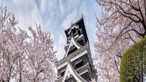 Japan Aso Kumamoto Airport - Kumamoto City Shuttle Bus Ticket + Wakuwaku 1-Day Pass 54509 Transport Passes