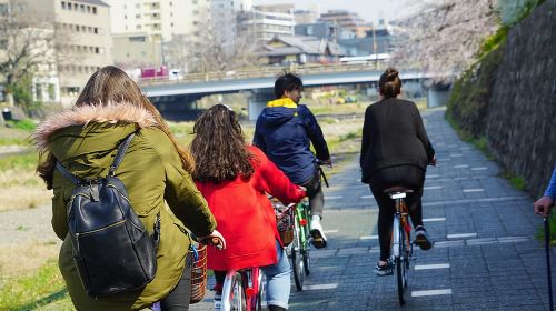 4.5-Hour Kyoto Bike Tour with Lunch and UNESCO Zen Temples Day Tours