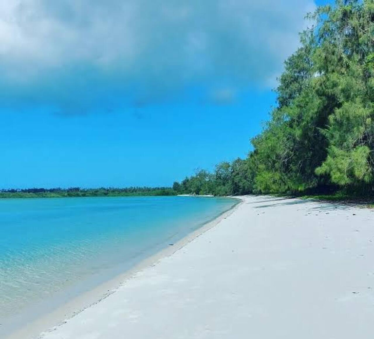 Pemba: Ngezi Forest Reserve, Lighthouse & Vumawimbi Beach