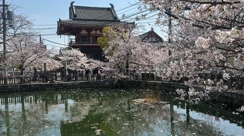 Osaka: Check out the must-see places. Day Tours