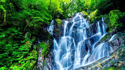 Nagoya Round Trip – Shizuoka Day Tour – Sengen Taisha, Shiraito Falls
