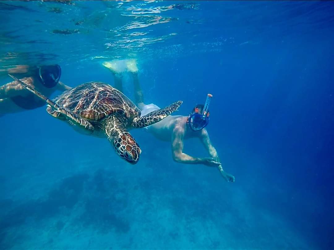 Snorkling tour in gili air island Lombok