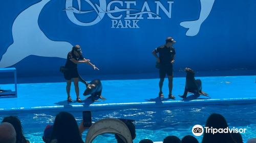 Manila Ocean Park