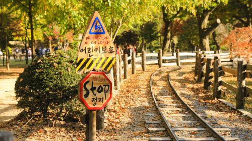 Nami Island + Gangchon Railbike One Day Tour (Depart from Seoul) Day Tours