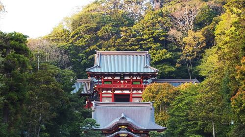 Kamakura & Enoshima 1-Day Bus Tour Day Tours