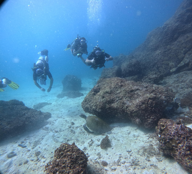 Fujairah: Scuba Diving Experience